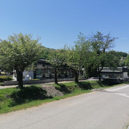 Koko Apartman Vrnjačka Banja المظهر الخارجي الصورة