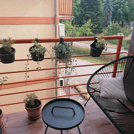 Koko Apartman Vrnjačka Banja المظهر الخارجي الصورة
