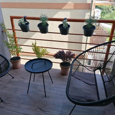 Koko Apartman Vrnjačka Banja المظهر الخارجي الصورة