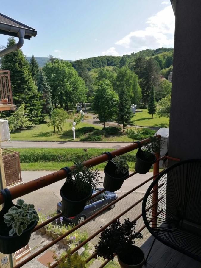 Koko Apartman Vrnjačka Banja المظهر الخارجي الصورة