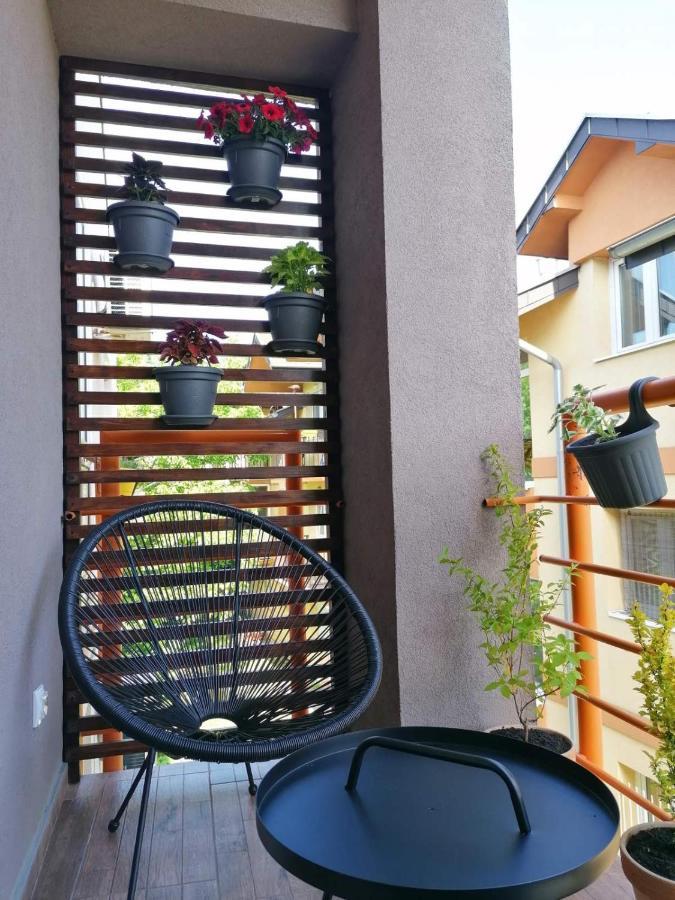 Koko Apartman Vrnjačka Banja المظهر الخارجي الصورة