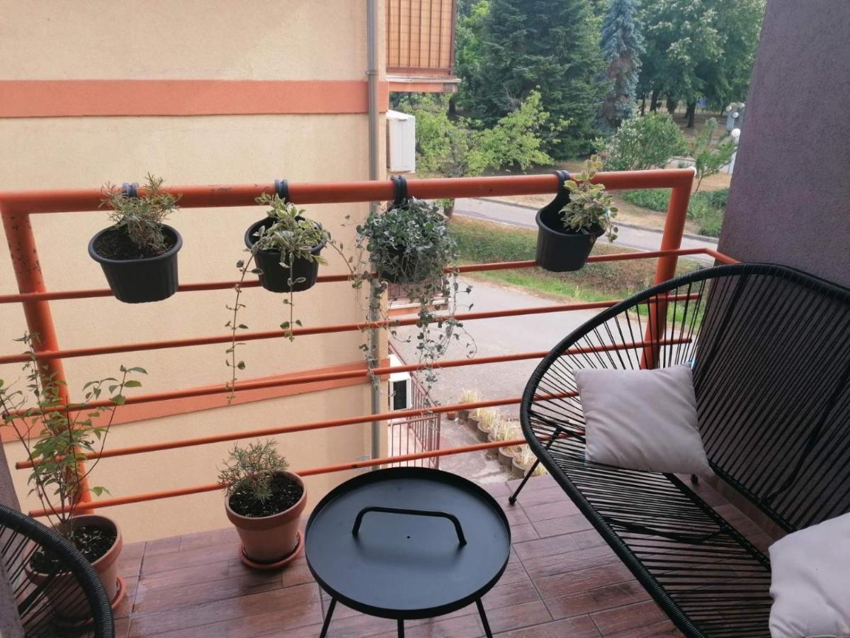 Koko Apartman Vrnjačka Banja المظهر الخارجي الصورة
