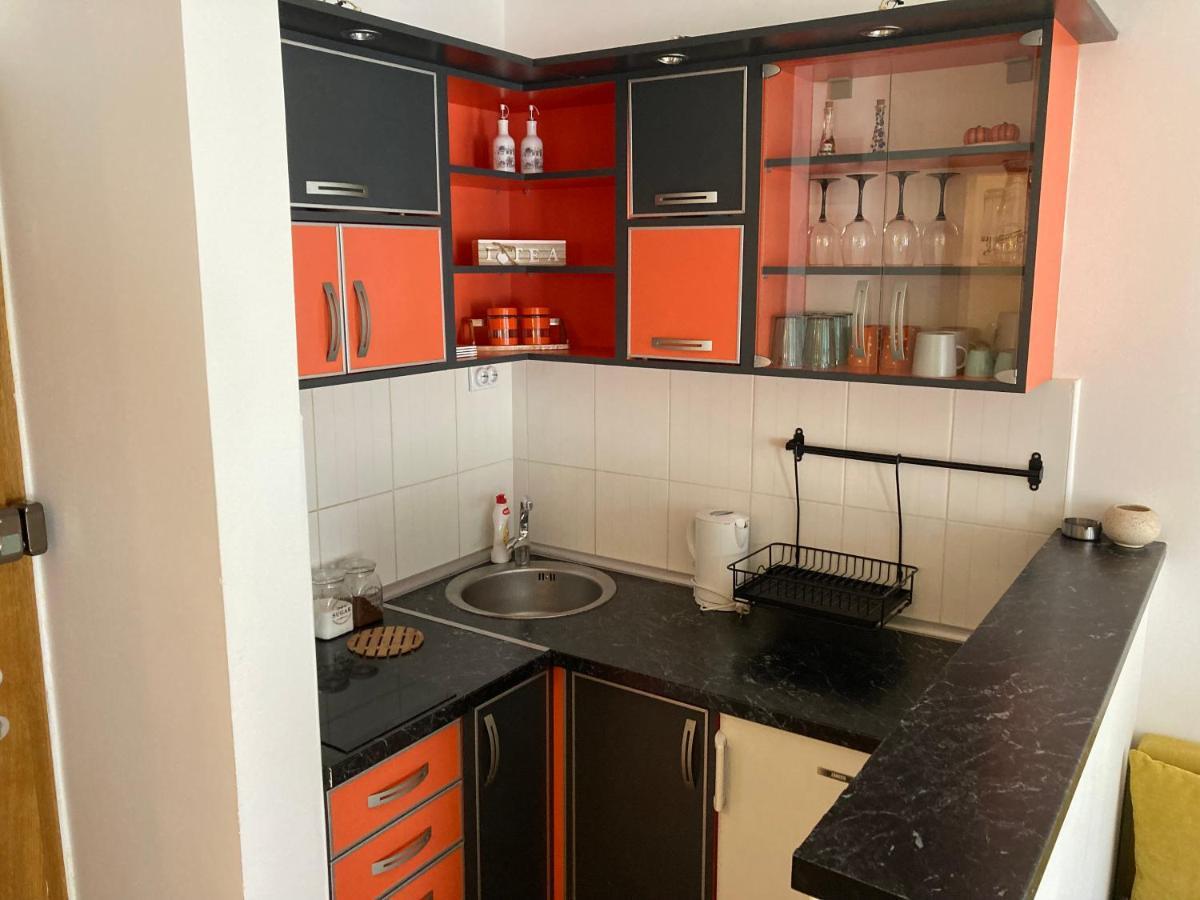 Koko Apartman Vrnjačka Banja المظهر الخارجي الصورة